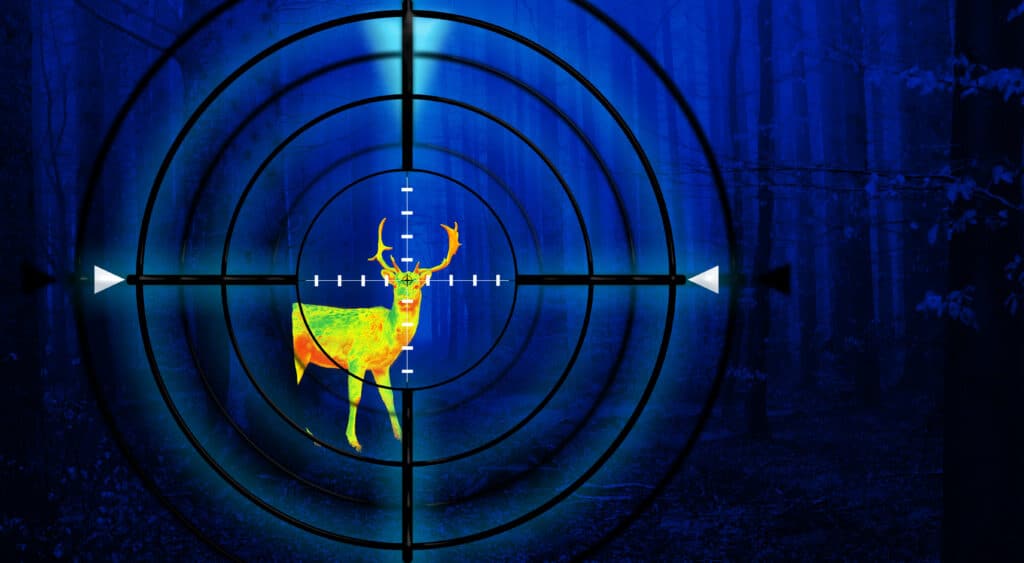 Charleston Night Hunting Lawyer